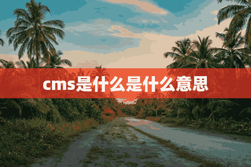 cms是什么是什么意思(cms是什么是什么意思怎么读)